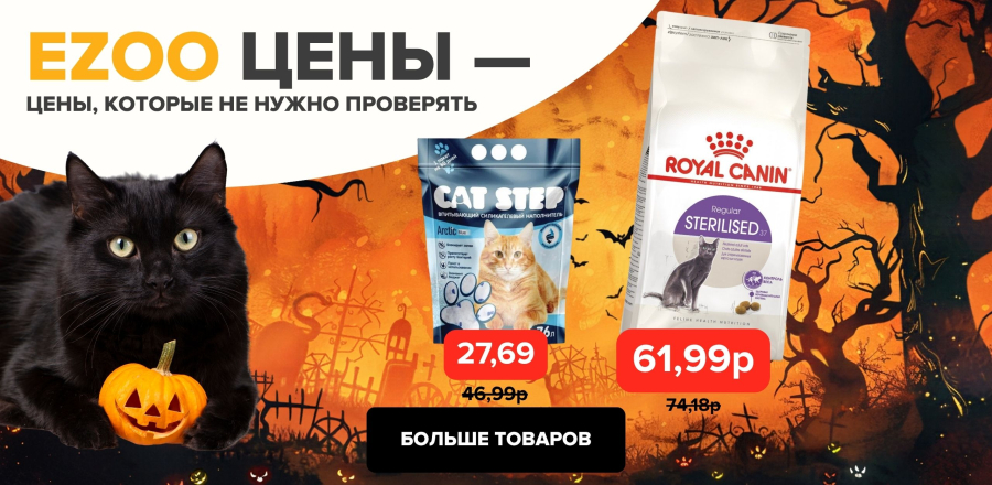 KVI хэллоуин
